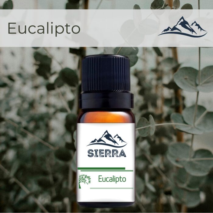 Essencias umidificador 10